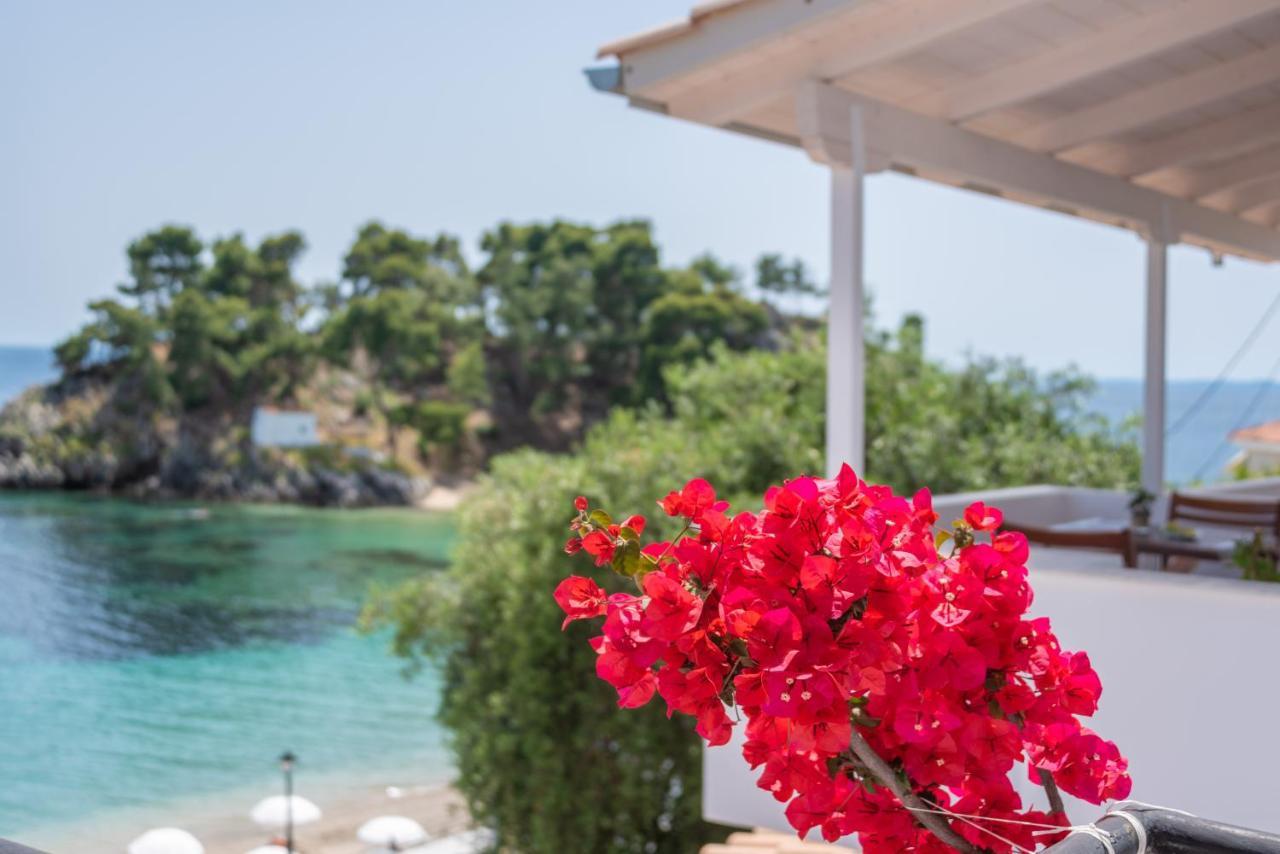Krioneri Beach Studios Parga Exterior photo